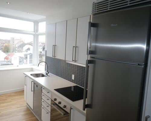 Indbydende lejlighed i hjertet af Aalborg med grønne områder