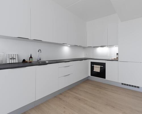 Skøn toværelses lejlighed med et stort leverum i form af køkken og stue i ét i åben forbindelse med egen altan. Lejligheden har et rummeligt soveværelse og et stilrent bad. Til boligen hører eget skur.