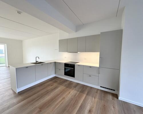 3 værelses lejlighed i Nørresundby