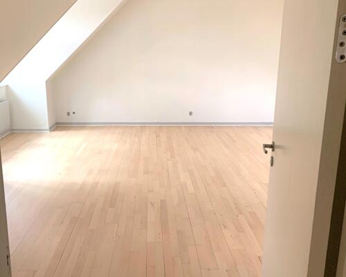 Stor flot delevenlig lejlighed i Nyborg centrum – 119 Kvm