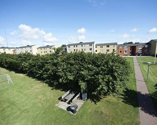 3 værelses lejlighed i Middelfart