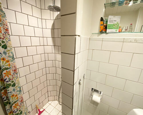 Hyggelig 2-værelses lejlighed med udsigt til Østre Anlæg