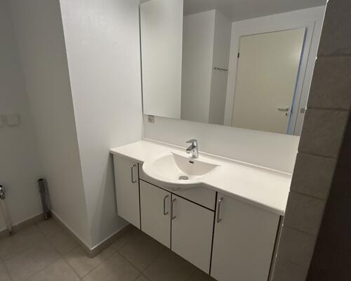 Lyst 4-værelses rækkehus på 101 m2 med altan, parkering og husdyr tilladt – velegnet til deling