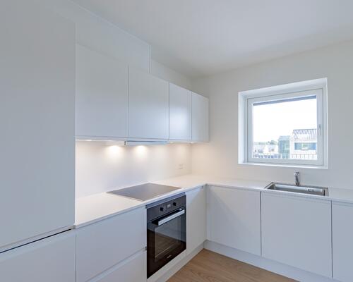 3-værelses lejlighed med stor altan i Hornbæk