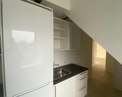 Renoveret skøn  taglejlighed