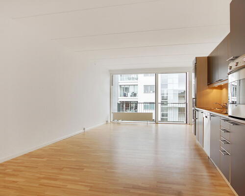 2 værelses lejlighed i København S