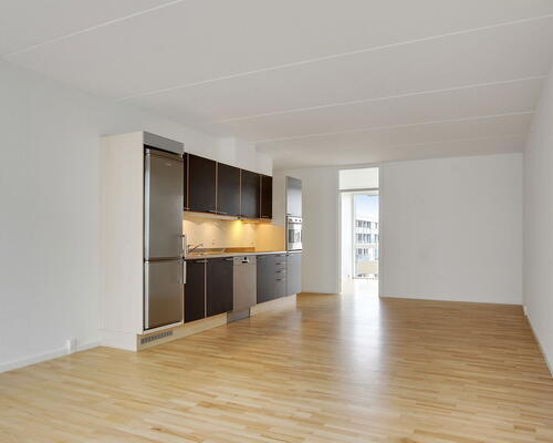 2 værelses lejlighed i København S