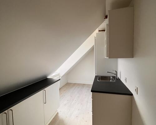 Renoveret skøn  taglejlighed