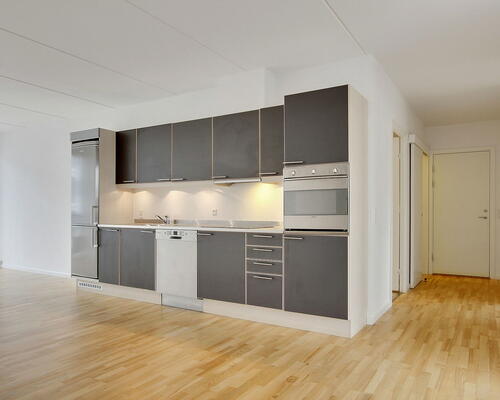 2 værelses lejlighed i København S