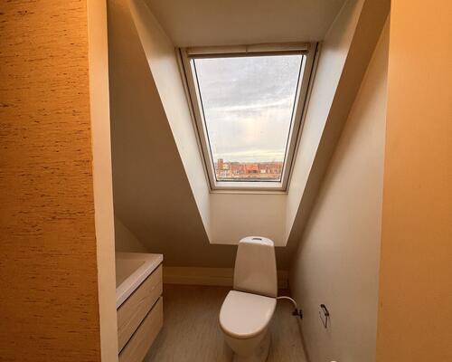 Renoveret skøn  taglejlighed