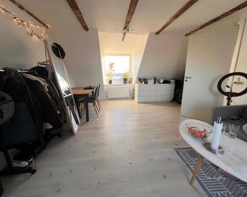 Renoveret skøn  taglejlighed