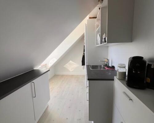 Renoveret skøn  taglejlighed