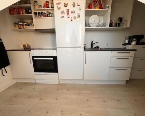 Renoveret skøn  taglejlighed