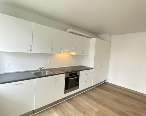 Rummelig 3-værelses lejlighed med lækker altan