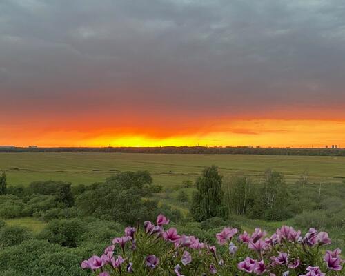 4 værelses lejlighed i København S