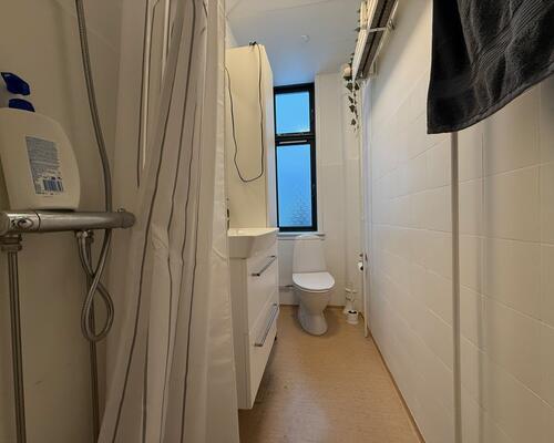 God lys 1. sal lejlighed nær centrum.