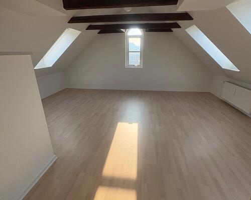 Flot 3. værelses lejlighed med udsigt, synlige bjælker samt delevenlig.