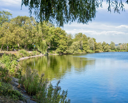 3 værelses lejlighed i Rødovre