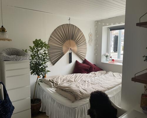 Flot lys lejlighed på Jellingvej