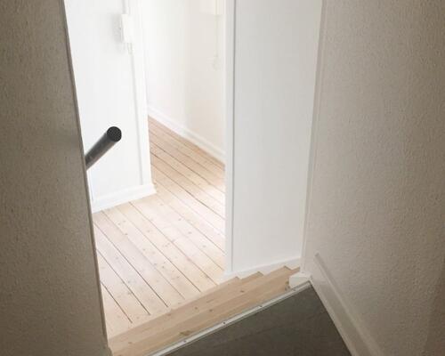 Lys 3 værelses lejlighed med fælles grøn have og husdyr tilladt