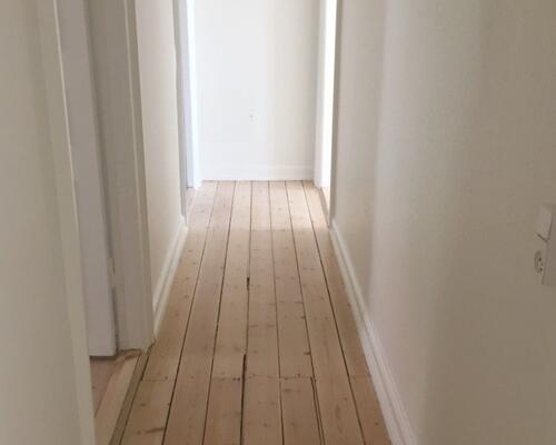 Lys 3 værelses lejlighed med fælles grøn have og husdyr tilladt