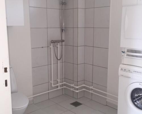 Lys 3 værelses lejlighed med fælles grøn have og husdyr tilladt