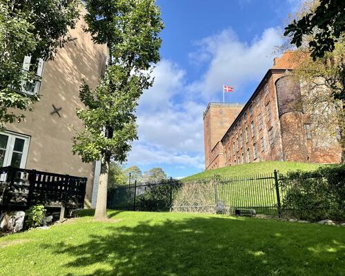 Lys 3 værelses lejlighed med fælles grøn have og husdyr tilladt