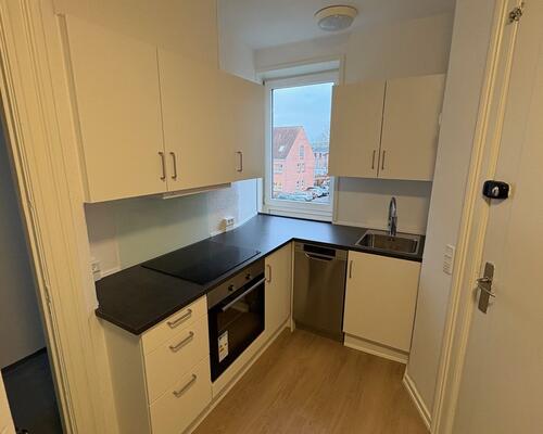 Lyst og venlig lejlighed