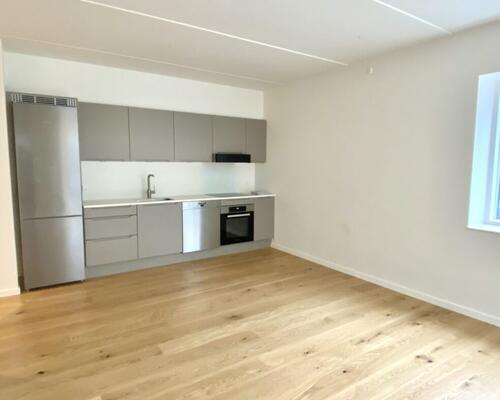 2 værelses – Munkebjergvænget 56, 3. lejl. 1 – Odense M