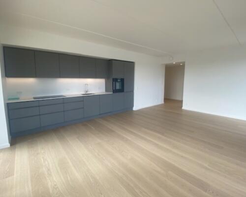 Skøn udsigtslejlighed i det ikoniske Sirius Tårn