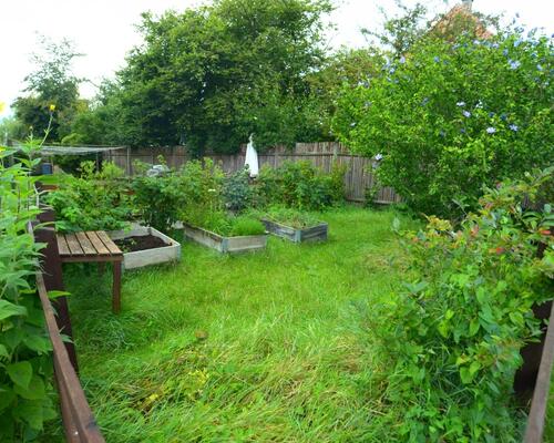 KUN EXPATS Dejlig lejlighed med nyere stort køkken alrum