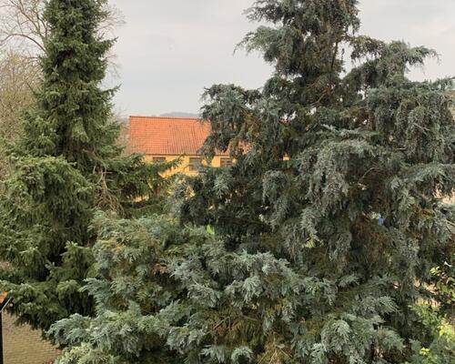 2 værelses lejlighed i Horsens