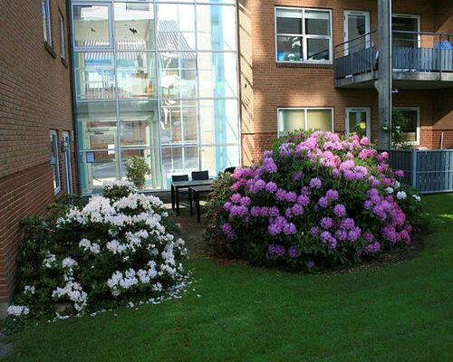 2 værelses lejlighed i Herning