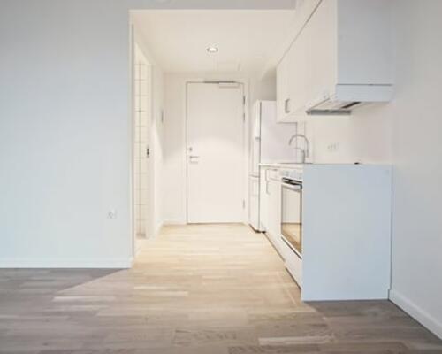 Nyopført 1-værelses i hjertet af Amager