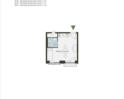 1 værelses lejlighed i København S