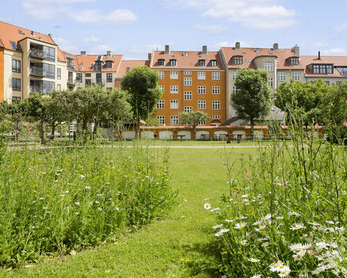 3 værelses lejlighed i København K