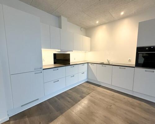 Lys og nyere 4-værelses lejlighed i Randers NV