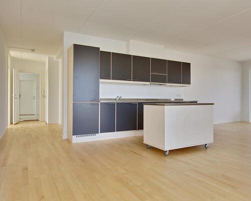 3 værelses lejlighed i København S