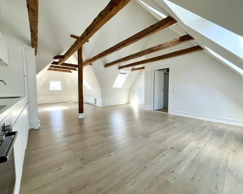 Charmerende, moderne taglejlighed - KUN 50 meter fra gågaden i Horsens