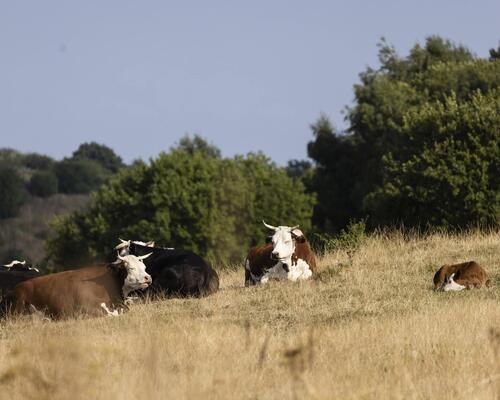 5 værelses lejlighed i Lynge