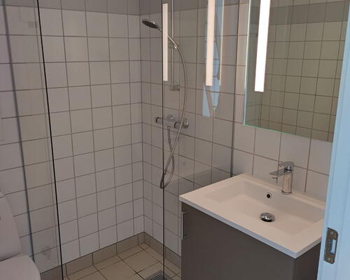 Lys 1-værelses taglejlighed med hems, kvist og elevator – nyrenoveret og tæt på nærbanen