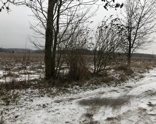 3 værelses lejlighed i Ringe