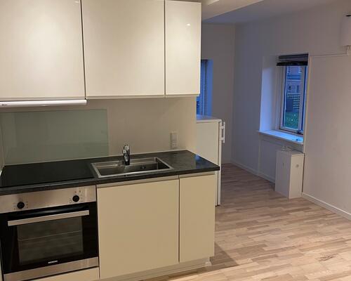 Lys 1-værelses lejlighed med eget køkken - husdyr tilladt