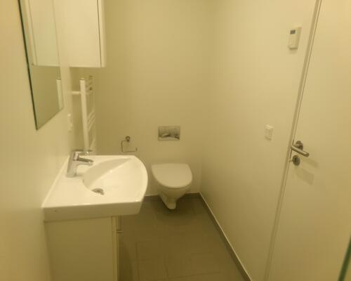 Istandsat 1-værelses lejlighed