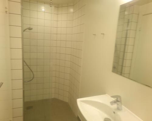 Istandsat 1-værelses lejlighed