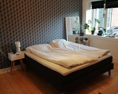 2 værelses lejlighed i Esbjerg