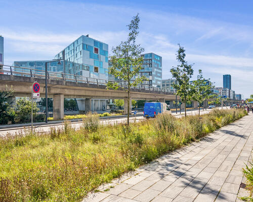 4 værelses lejlighed i København S