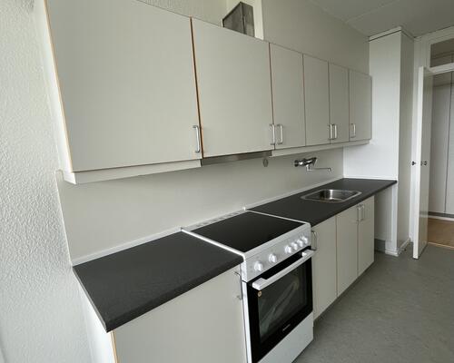 Stor delevenlig bolig