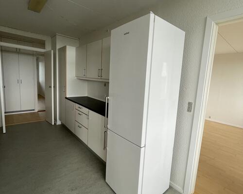 Stor delevenlig bolig