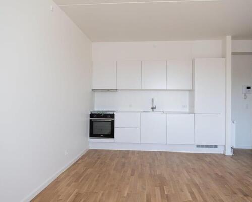 1-værelses lejlighed i Svinget, Nye